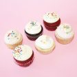 Half Dozen Cupcakes Discount