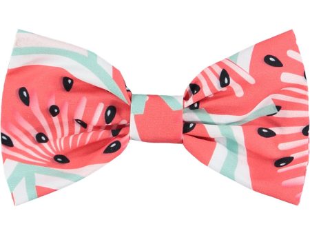 A DEE - Evangeline Watermelon Hair Bow - Red Fashion