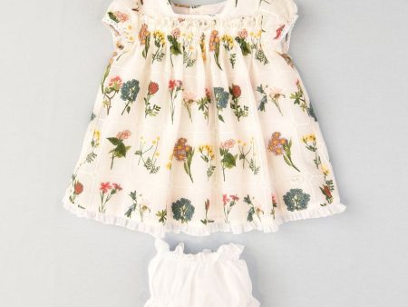 JOSE VARON - Embroidered Flower Baby Dress & Knickers - White Online