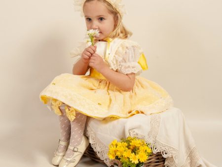 BLUEBELLS - Joanna Easter Dress - Yellow Online Sale