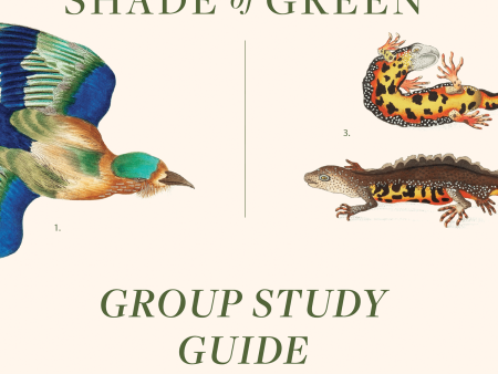 A Different Shade of Green Group Study Guide For Discount