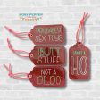 Naughty Gift Tags (set of 4 designs) machine embroidery design DIGITAL DOWNLOAD For Discount