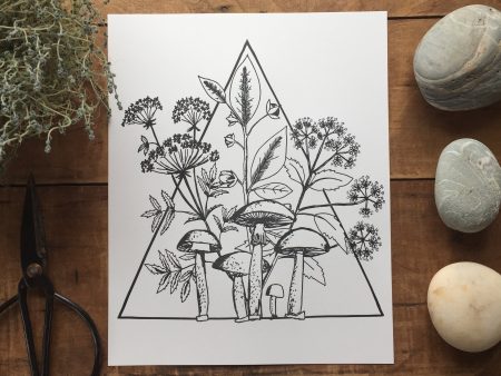 Poisonous Plants and Mushrooms Print (8x10) For Cheap