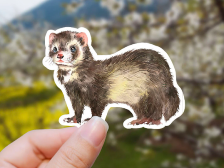 Ferret Vinyl Sticker For Discount