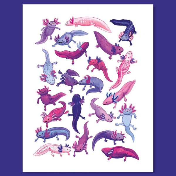 A Lotta Axolotl Print (8x10) Online Hot Sale