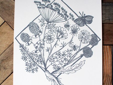 Medicinal Herbs and Weeds Print (8x10) on Sale